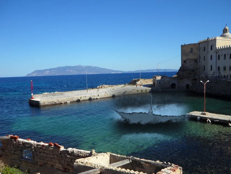 Immagine 5 di «NOVITA’… alleati»
