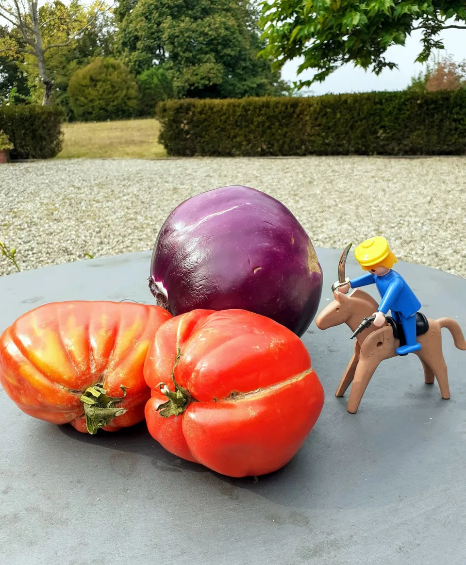 Immagine 9 di «BUONA PRIMAVERA»