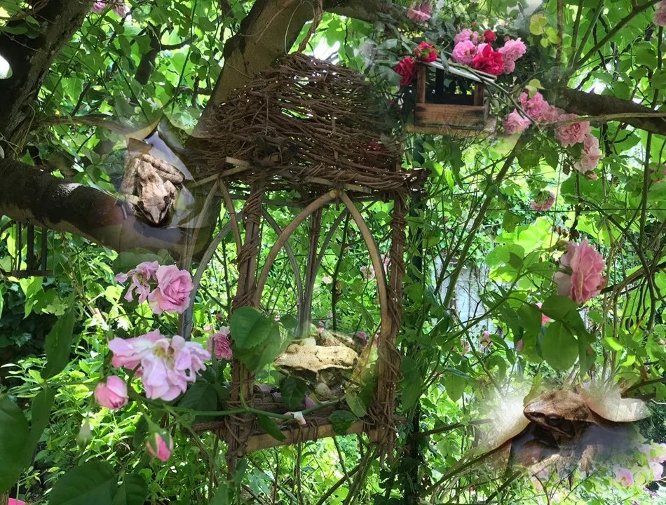 Immagine 10 di «BUONA PRIMAVERA»