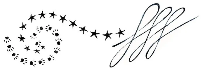 Immagine 9 di «VIE OSCURE e Cieli Stellanti»