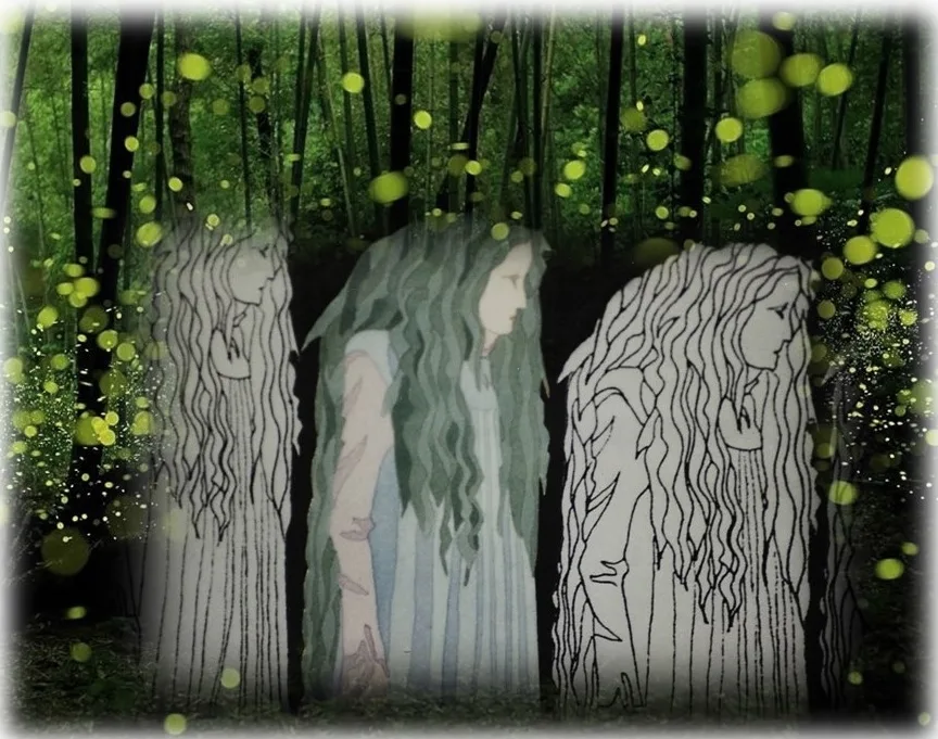 Immagine 2 di «BOSCO e… SOTTOBOSCO»