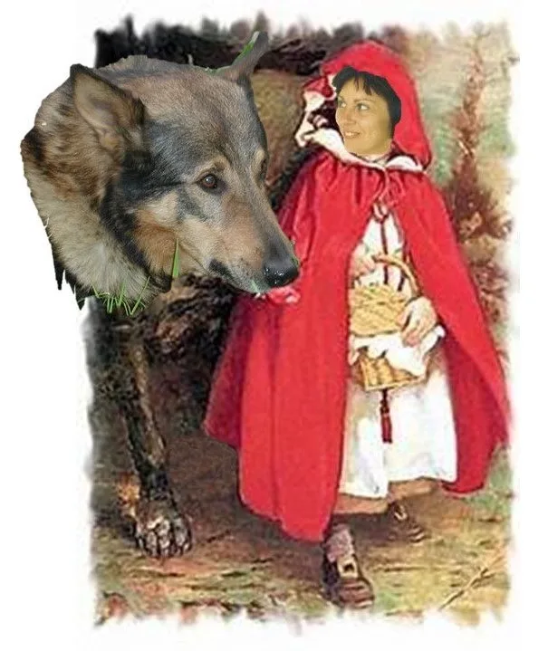 Immagine 11 di «BOSCO e… SOTTOBOSCO»