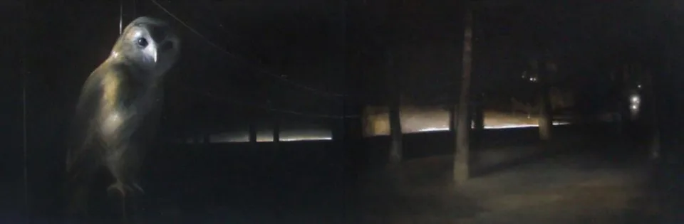Immagine 13 di «BOSCO e… SOTTOBOSCO»