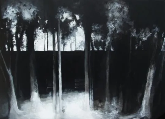 Immagine 14 di «BOSCO e… SOTTOBOSCO»