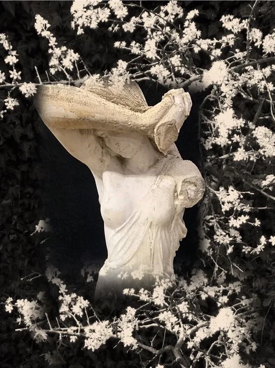 Immagine 2 di «è già ESTATE!»