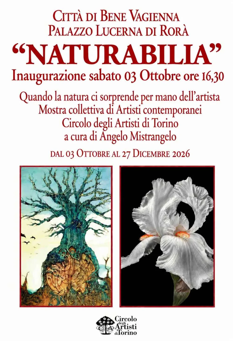 Immagine 10 di «e infine riscoprire luminose stelle»